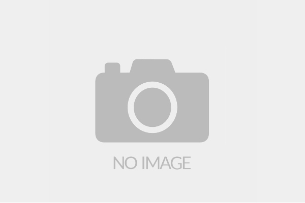 巴拉顿湖黎明风景图片