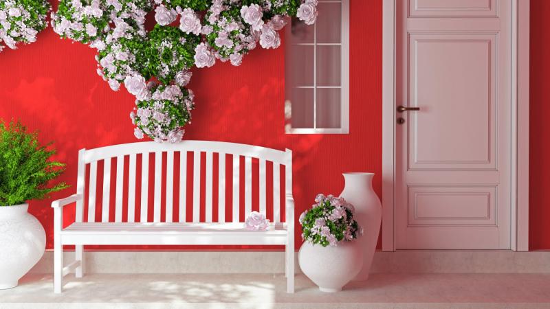 店,鲜花,花瓶,门,椅子,粉色背景墙,桌面壁纸