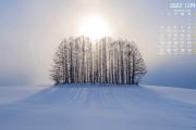冬天雪地树木阳光风景2023年12月日历桌面壁纸