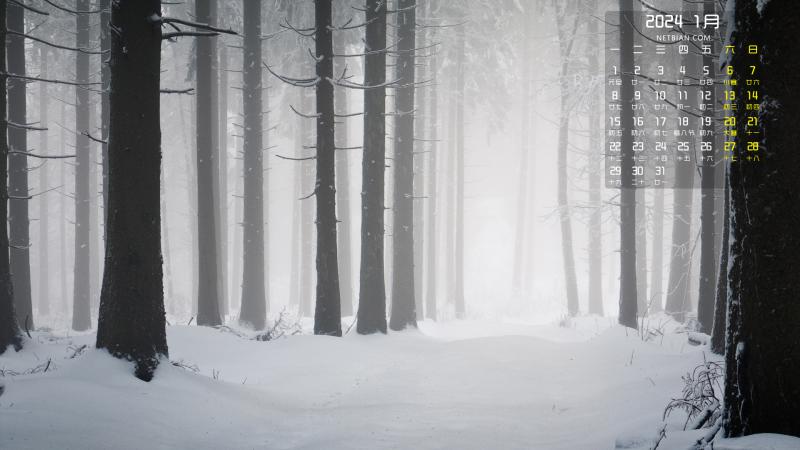 森林树林雪景2024年1月桌面日历壁纸高清