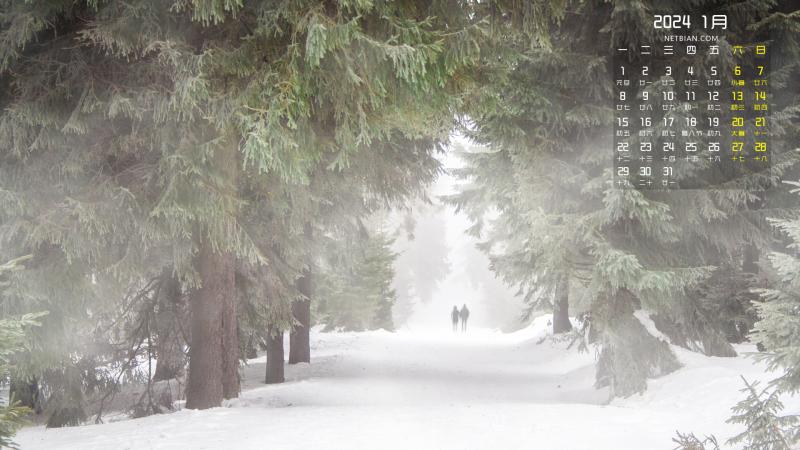 冬天树林雪地散步2024年1月桌面日历壁纸高清